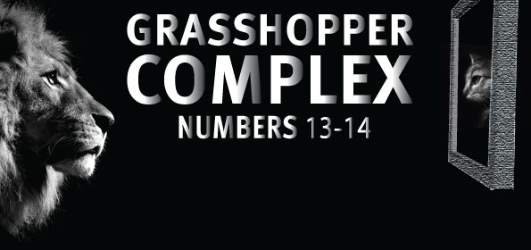grasshopper-complex