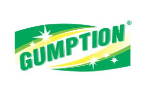 gumption-300x189