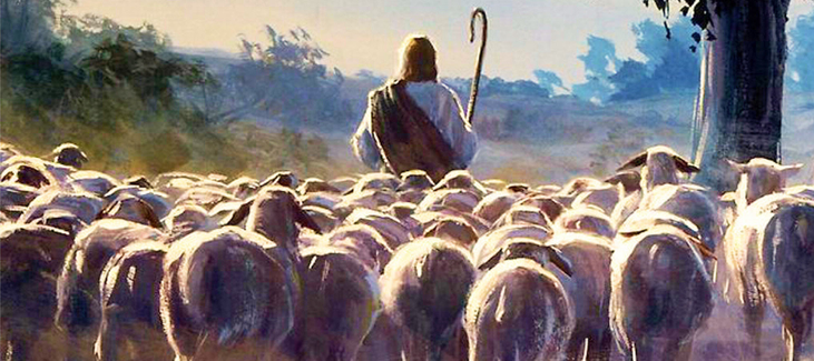sheepfollowJesus