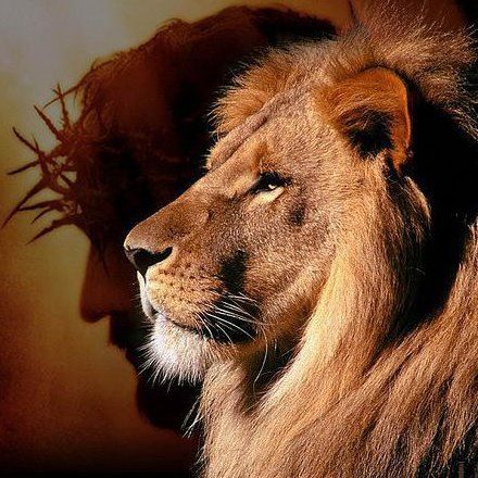 lionofjudah