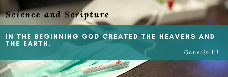 coronavirus update (12)