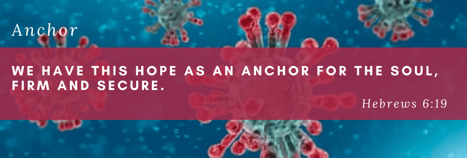 coronavirus update (6)